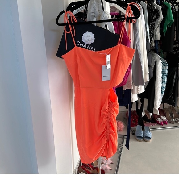 NWT Amanda Uprichard Aubriella Cutout Ruched Mini Dress Sorbet ($216) - Medium - Picture 5 of 6